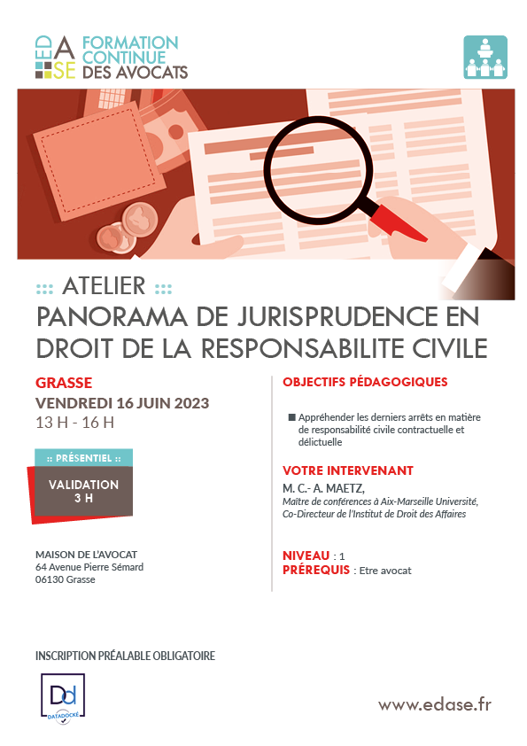 PANORAMA DE JURISPRUDENCE EN DROIT DE LA RESPONSABILITE CIVILE