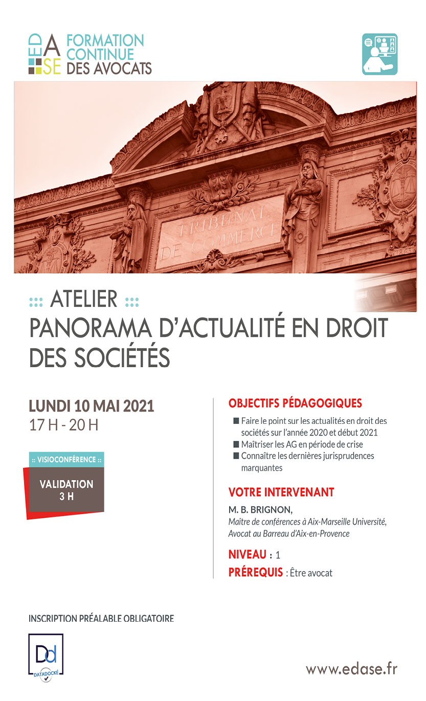 DROIT DES SOCIÉTÉS : PANORAMA D'ACTUALITE EN DROIT DES SOCIÉTÉS
