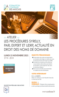 LES PROCÉDURES SYRELLY, PARL EXPERT ET UDRP, ACTUALITÉ EN DROIT DES NOMS DE DOMAINE