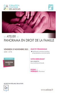 PANORAMA EN DROIT DE LA FAMILLE