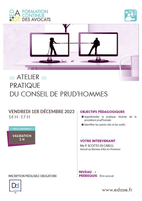 PRATIQUE DU CONSEIL DE PRUD’HOMMES