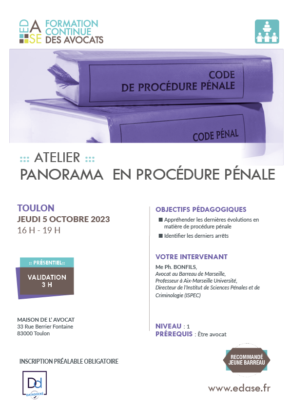 PANORAMA EN PROCÉDURE PÉNALE