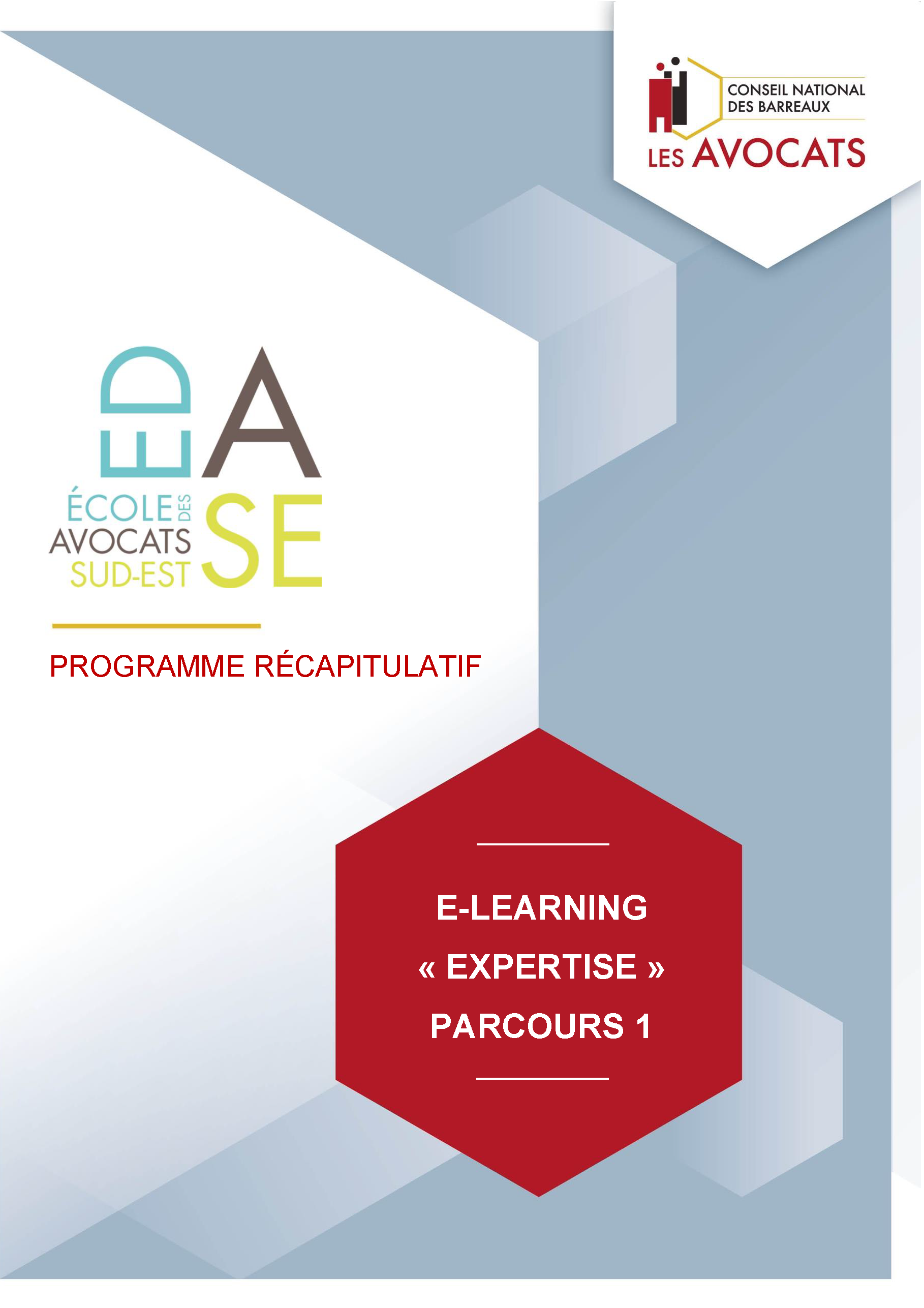 LA PRATIQUE DE L'EXPERTISE JUDICIAIRE VOLET I -  E-LEARNING 2024