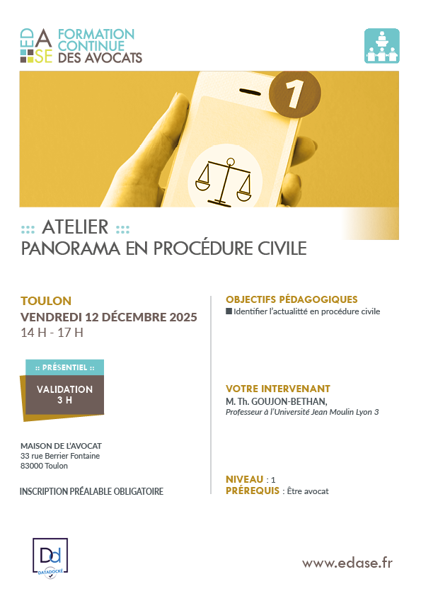 PANORAMA EN PROCÉDURE CIVILE