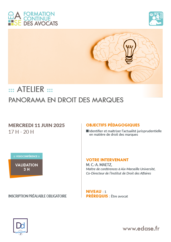 PANORAMA EN DROIT DES MARQUES