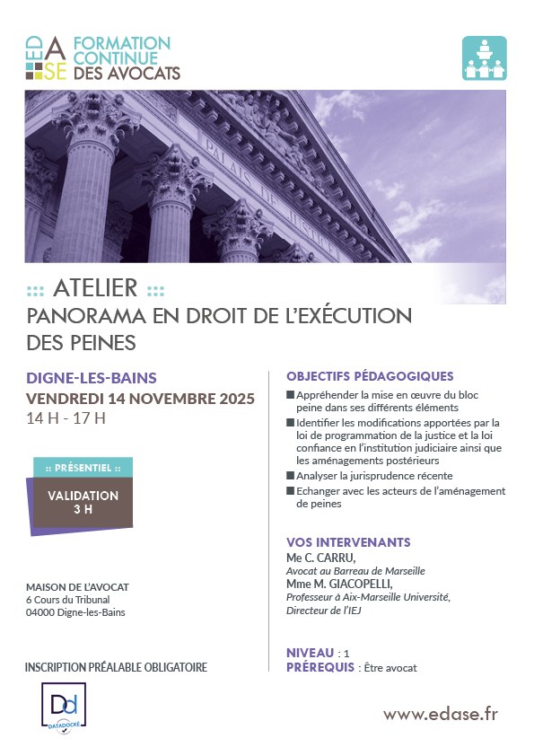 PANORAMA EN DROIT DE L'EXÉCUTION DES PEINES