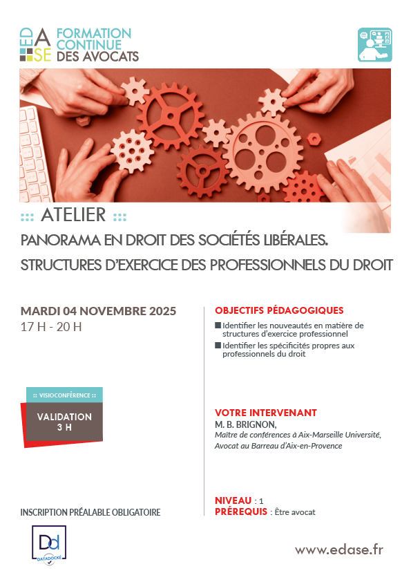 PANORAMA EN DROIT DES SOCIÉTÉS LIBÉRALES. STRUCTURES D'EXERCICE DES PROFESSIONNELS DU DROIT
