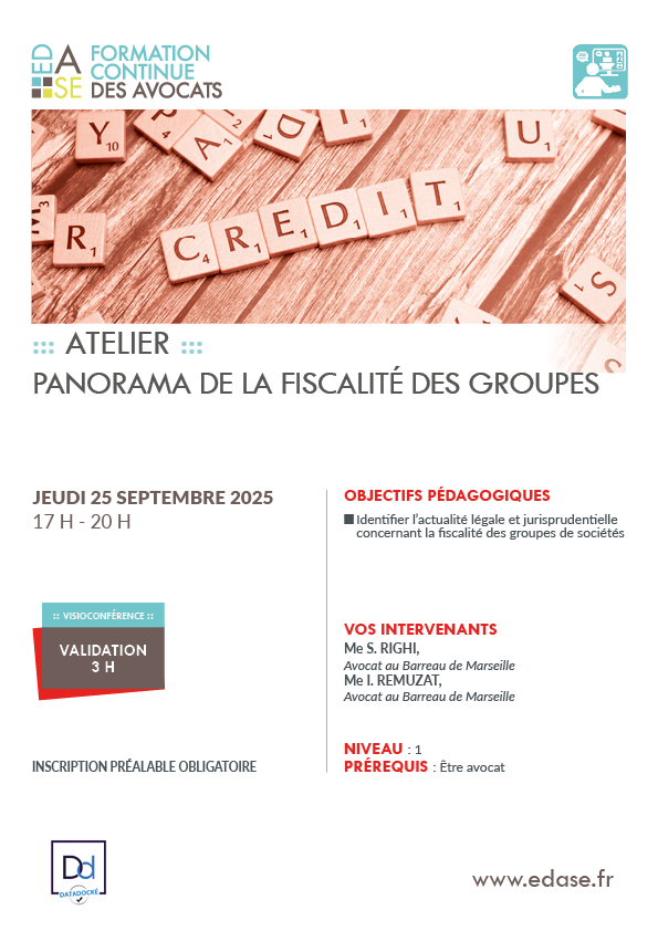 PANORAMA DE LA FISCALITÉ DES GROUPES
