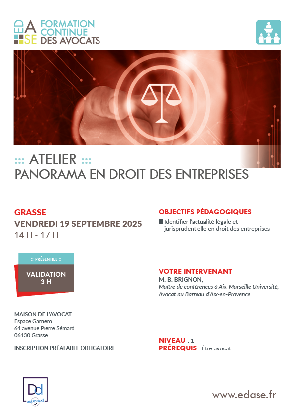 PANORAMA EN DROIT DES ENTREPRISES