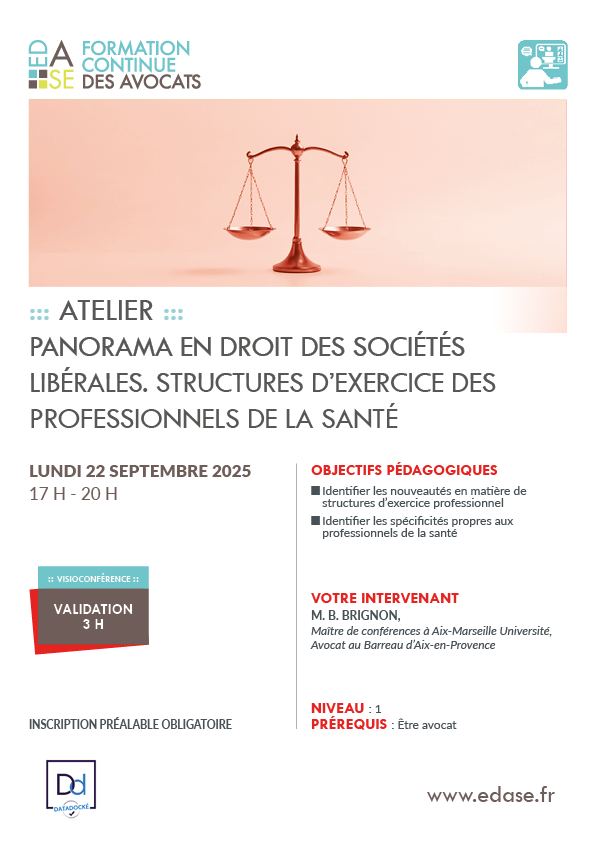 PANORAMA EN DROIT DES SOCIÉTÉS LIBÉRALES. STRUCTURES D'EXERCICE DES PROFESSIONNELS DE LA SANTÉ