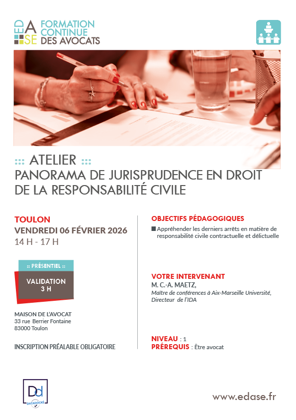 PANORAMA DE JURISPRUDENCE EN DROIT DE LA RESPONSABILITÉ CIVILE