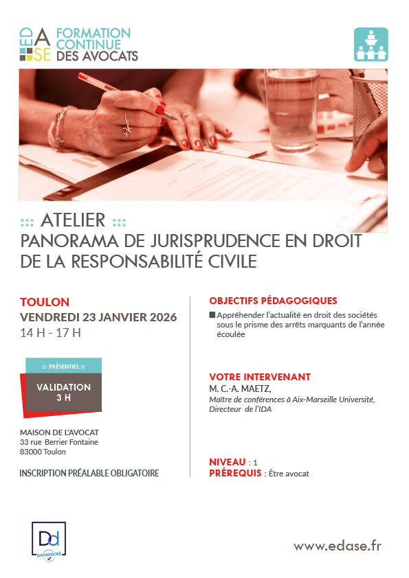 PANORAMA DE JURISPRUDENCE EN DROIT DE LA RESPONSABILITÉ CIVILE