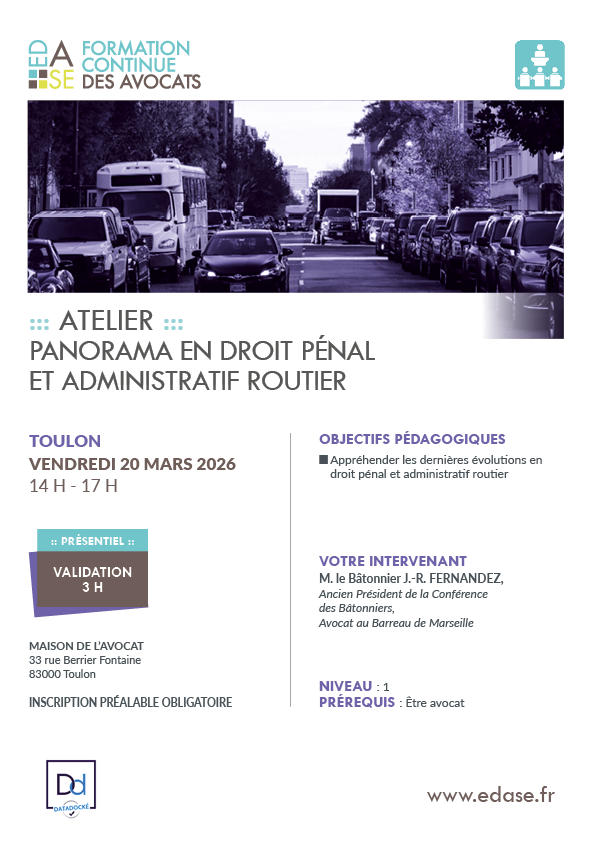 PANORAMA EN DROIT PÉNAL ET ADMINISTRATIF ROUTIER