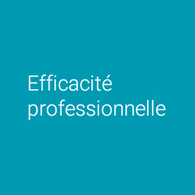 Efficacité professionnelle