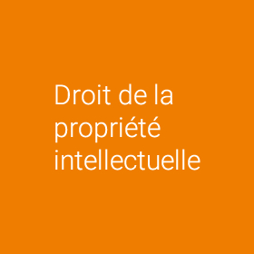 Propriété Intellectuelle - Données Personnelles