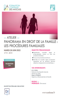 PANORAMA EN DROIT DE LA FAMILLE : LES PROCÉDURES FAMILIALES