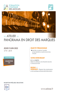 PANORAMA EN DROIT DES MARQUES