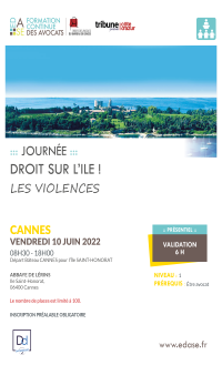 DROIT SUR L'ÎLE ! LES VIOLENCES