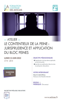 LE CONTENTIEUX DE LA PEINE : JURISPRUDENCE ET APPLICATION DU BLOC PEINES