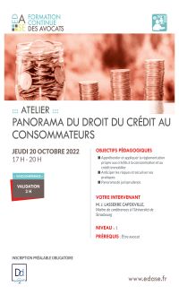 PANORAMA DU DROIT DU CRÉDIT AUX CONSOMMATEURS