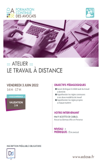 LE TRAVAIL À DISTANCE